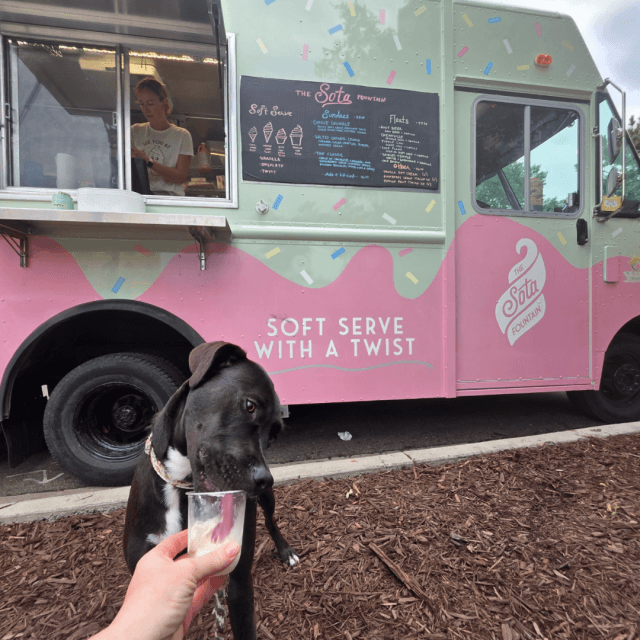 Instagram image by Ice Cream truck